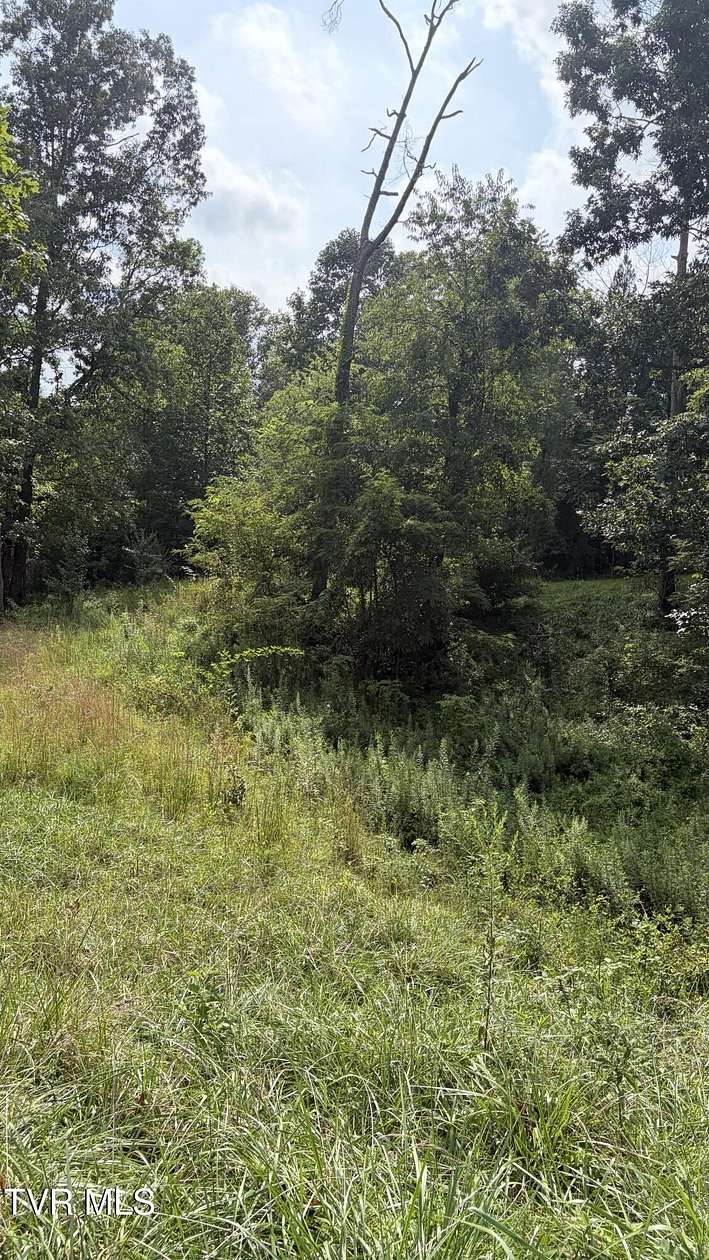 1.86 Acres of Residential Land for Sale in Johnson City, Tennessee