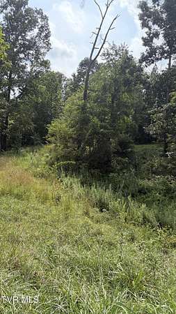 1.86 Acres of Residential Land for Sale in Johnson City, Tennessee