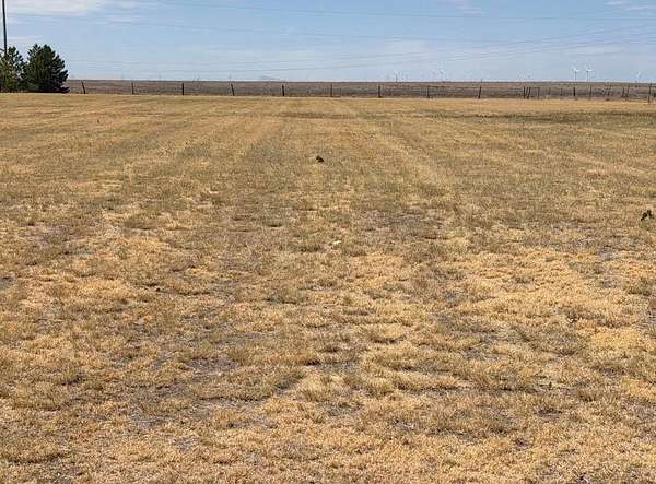 1.47 Acres of Residential Land for Sale in Bushland, Texas