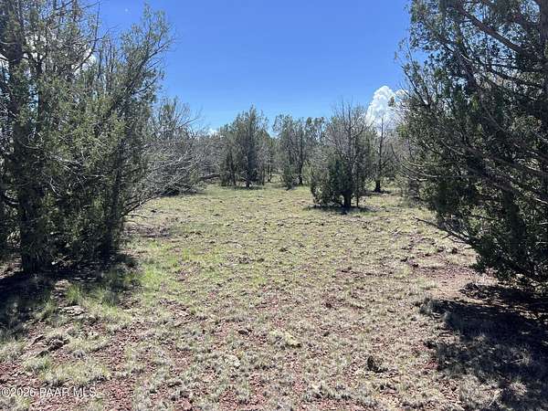 1.25 Acres of Land for Sale in Ash Fork, Arizona