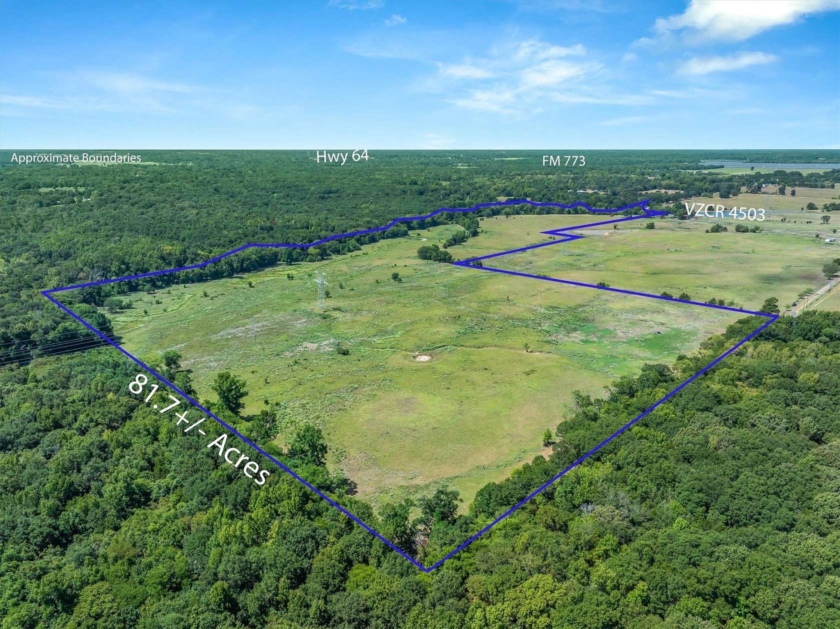 81.5 Acres of Land for Sale in Ben Wheeler, Texas