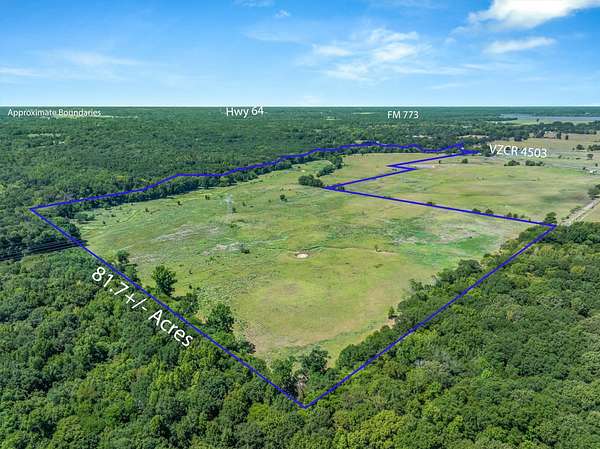 81.5 Acres of Land for Sale in Ben Wheeler, Texas
