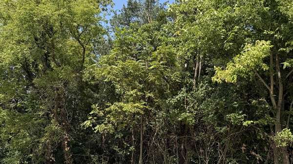 3 Acres of Residential Land for Sale in Custer Park, Illinois