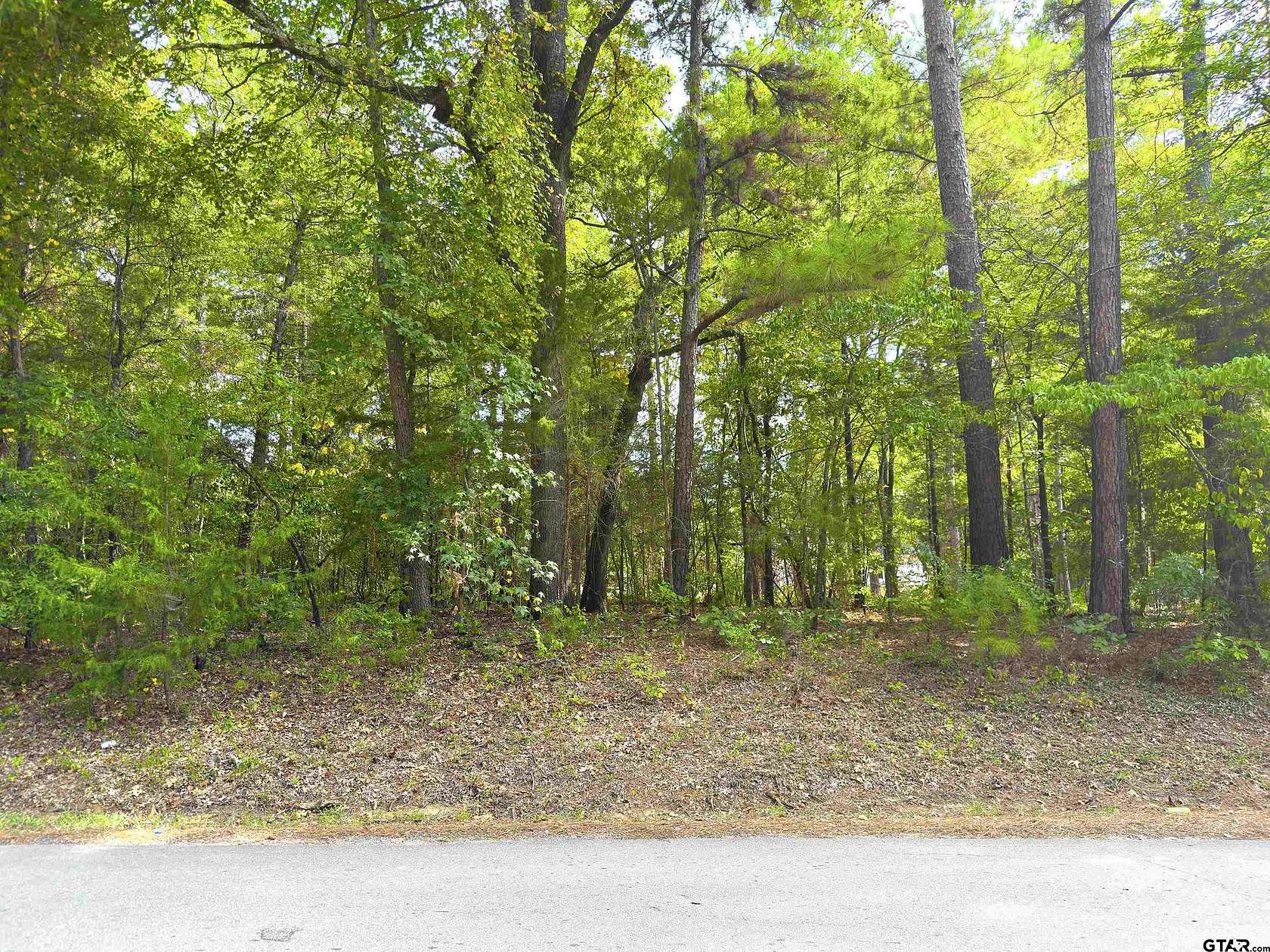 0.31 Acres of Residential Land for Sale in Bullard, Texas