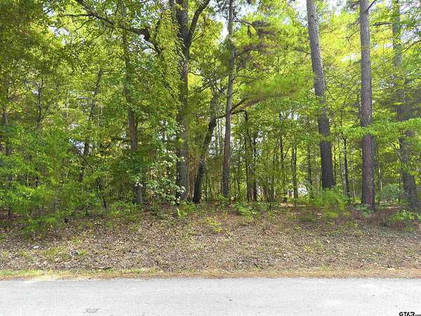 0.31 Acres of Residential Land for Sale in Bullard, Texas