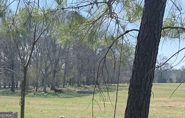 49.5 Acres of Land for Sale in Statham, Georgia