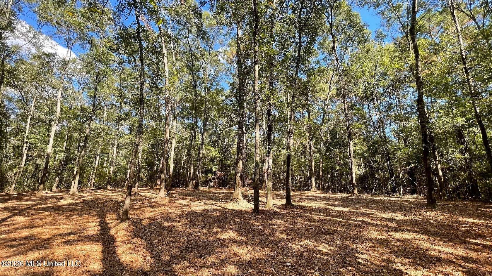 5.44 Acres of Residential Land for Sale in Saucier, Mississippi