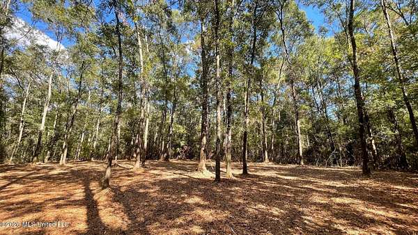 5.44 Acres of Residential Land for Sale in Saucier, Mississippi