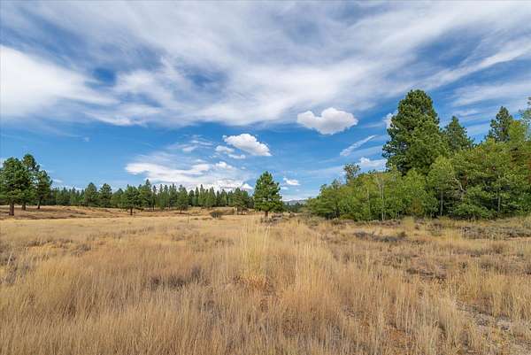 0.3 Acres of Residential Land for Sale in Truckee, California