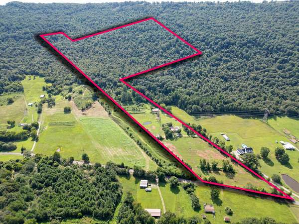 53.8 Acres of Land with Home for Sale in Bryant, Alabama