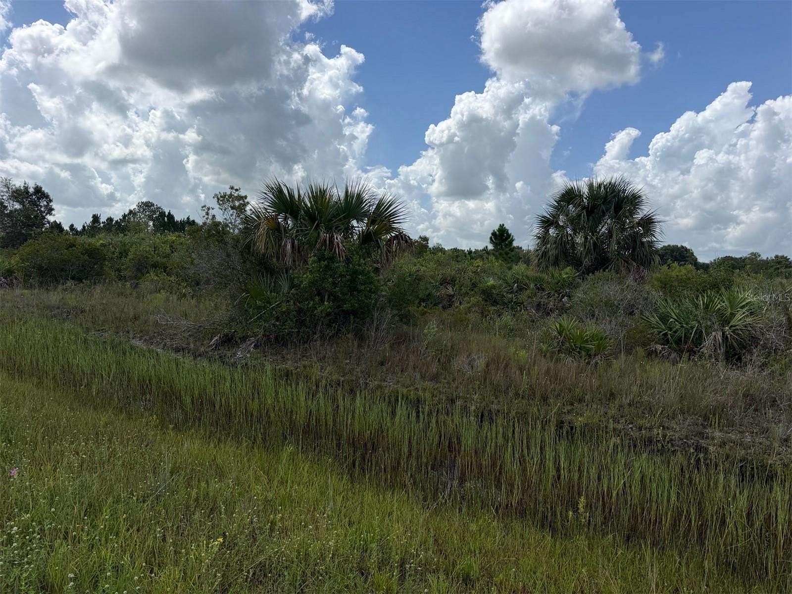 1.25 Acres of Land for Sale in Okeechobee, Florida