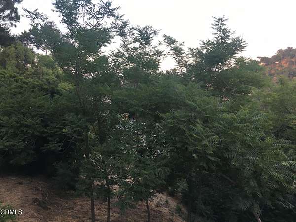 0.11 Acres of Land for Sale in Los Angeles, California
