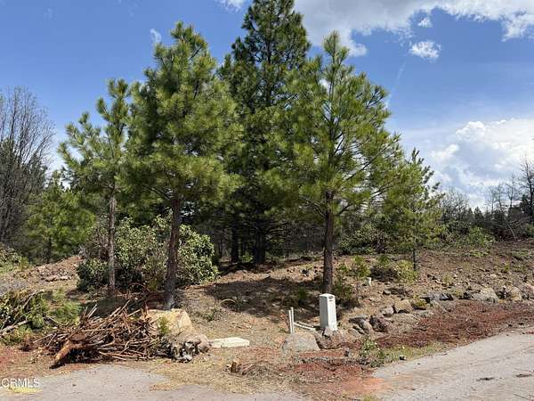 0.59 Acres of Residential Land for Sale in Burney, California