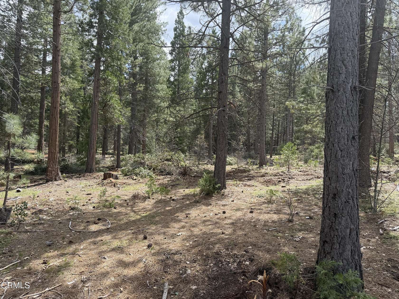 0.8 Acres of Residential Land for Sale in Burney, California