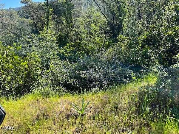 10 Acres of Recreational Land for Sale in Oroville, California