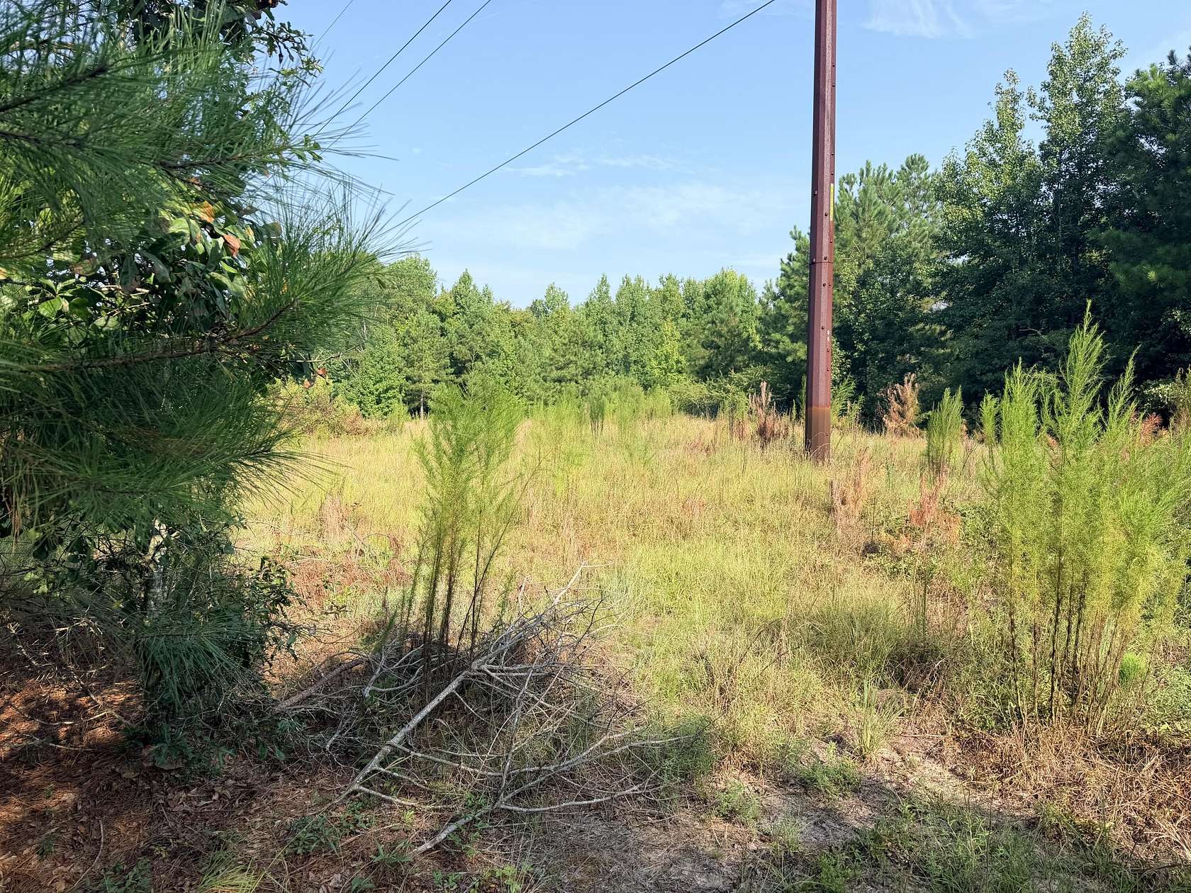 23 Acres of Recreational & Residential Land for Sale in Beech Island, South Carolina