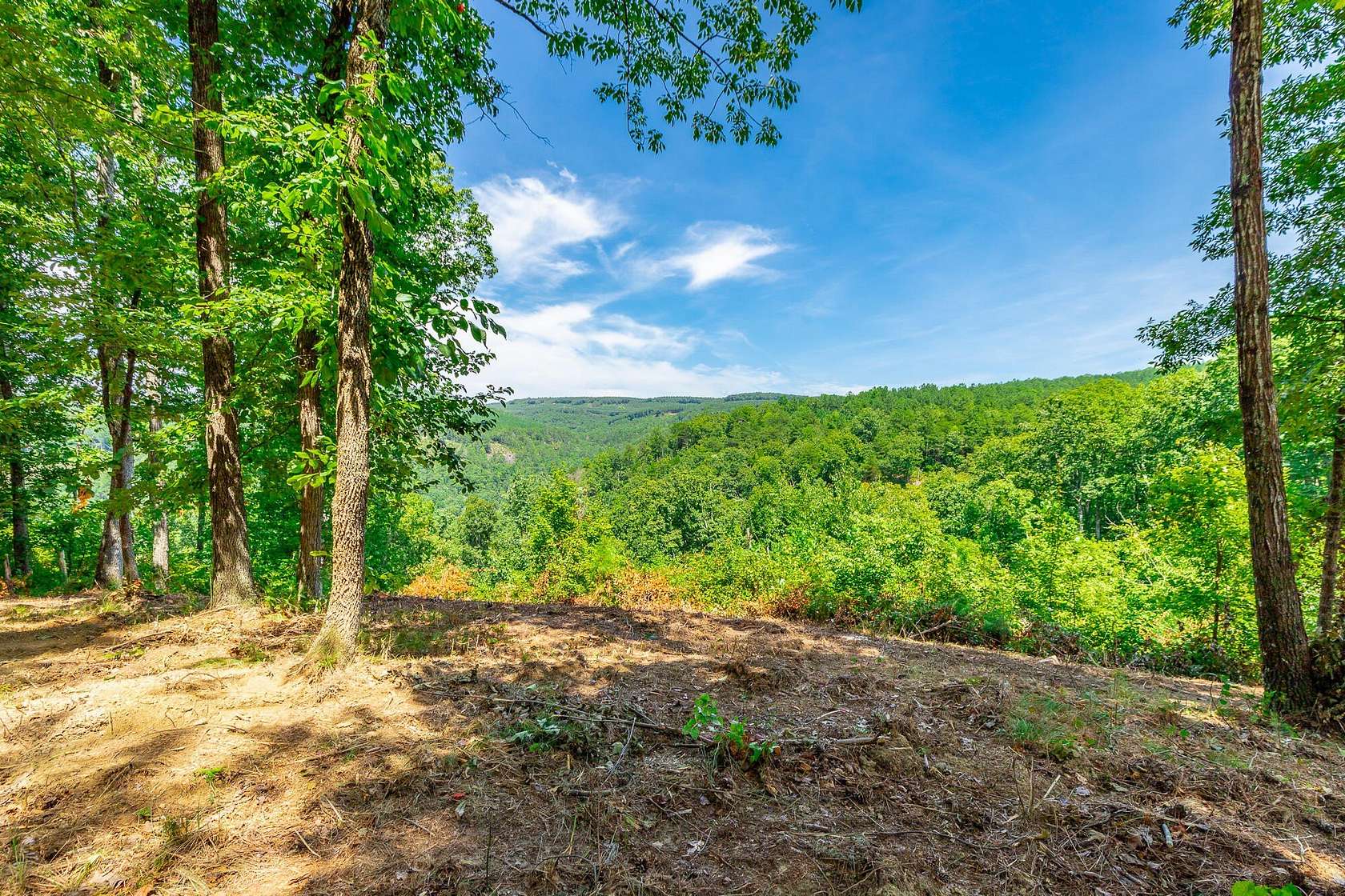 1.72 Acres of Residential Land for Sale in Haletown, Tennessee