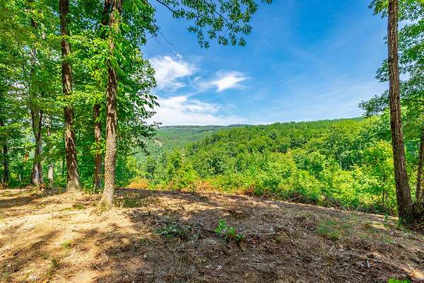 1.72 Acres of Residential Land for Sale in Haletown, Tennessee