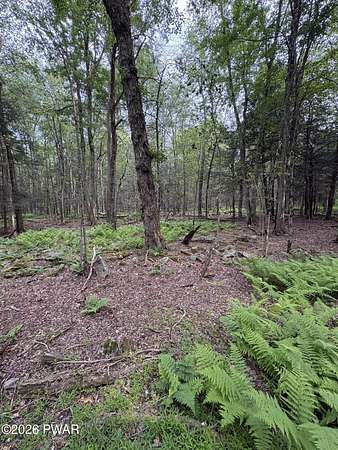 0.53 Acres of Residential Land for Sale in Newfoundland, Pennsylvania