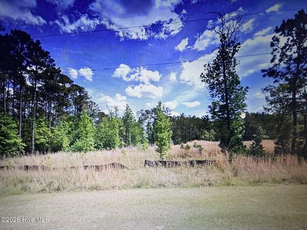2.19 Acres of Residential Land for Sale in Tignall, Georgia