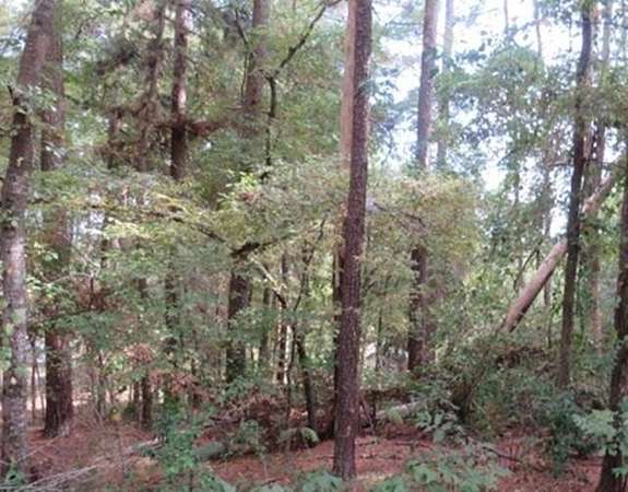 0.11 Acres of Land for Sale in Flint, Texas