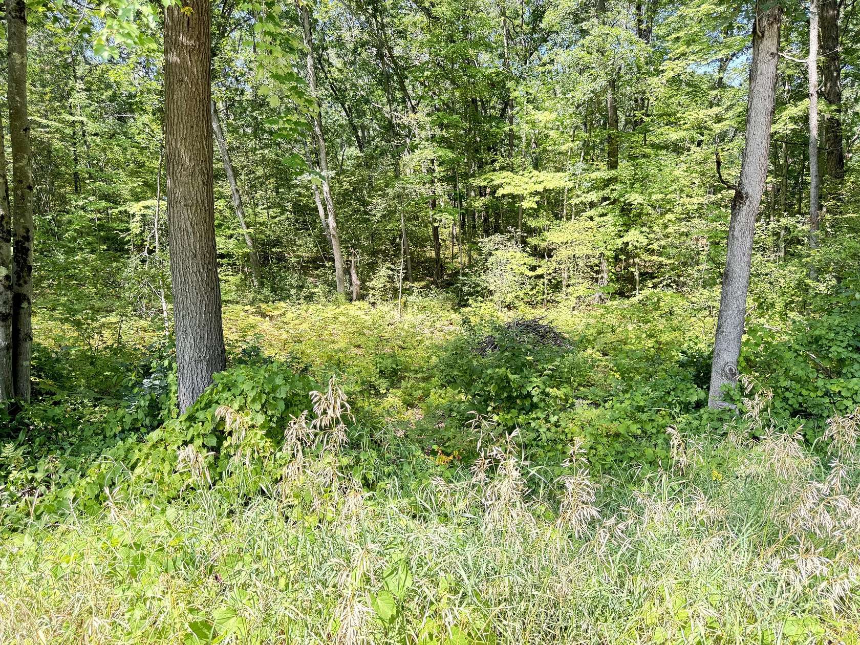 0.19 Acres of Residential Land for Sale in Bitely, Michigan