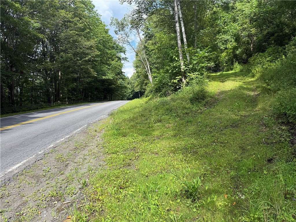 50 Acres of Recreational & Residential Land for Sale in Oneonta, New York