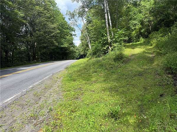 50 Acres of Recreational & Residential Land for Sale in Oneonta, New York