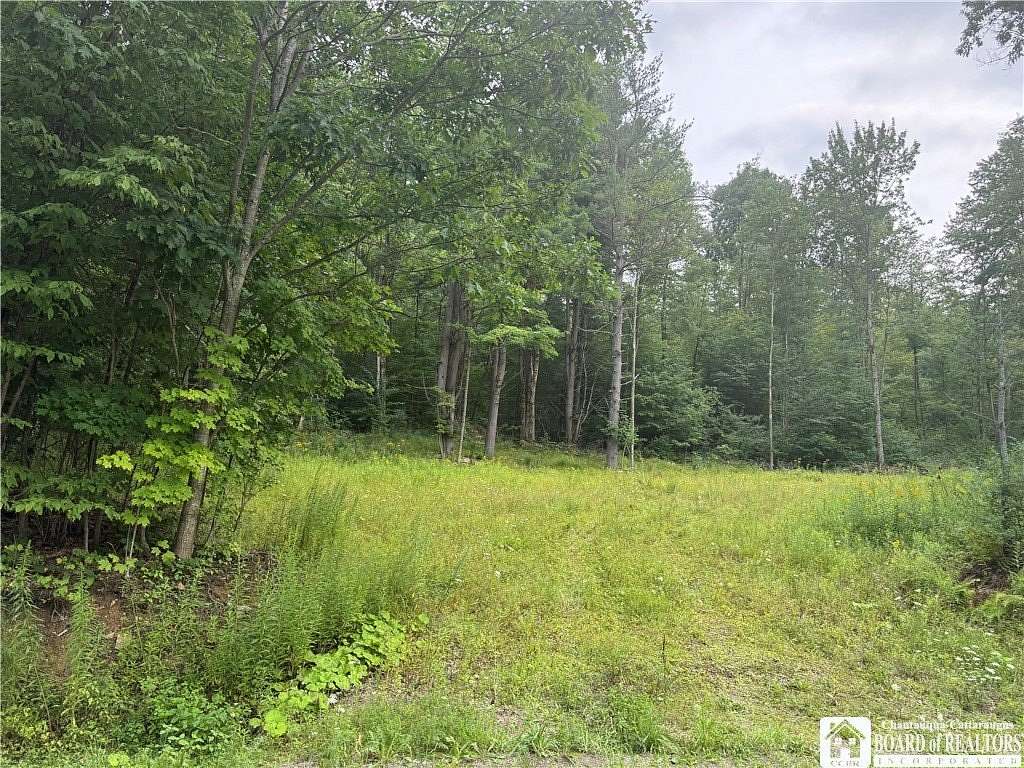 43.6 Acres of Recreational & Residential Land for Sale in Allegany, New York
