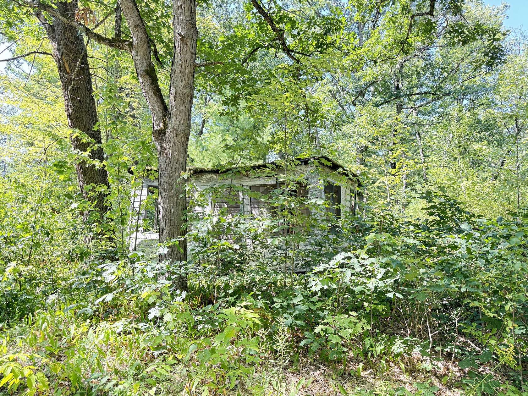 1 Acre of Residential Land for Sale in Bitely, Michigan