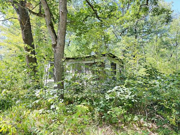 1 Acre of Residential Land for Sale in Bitely, Michigan