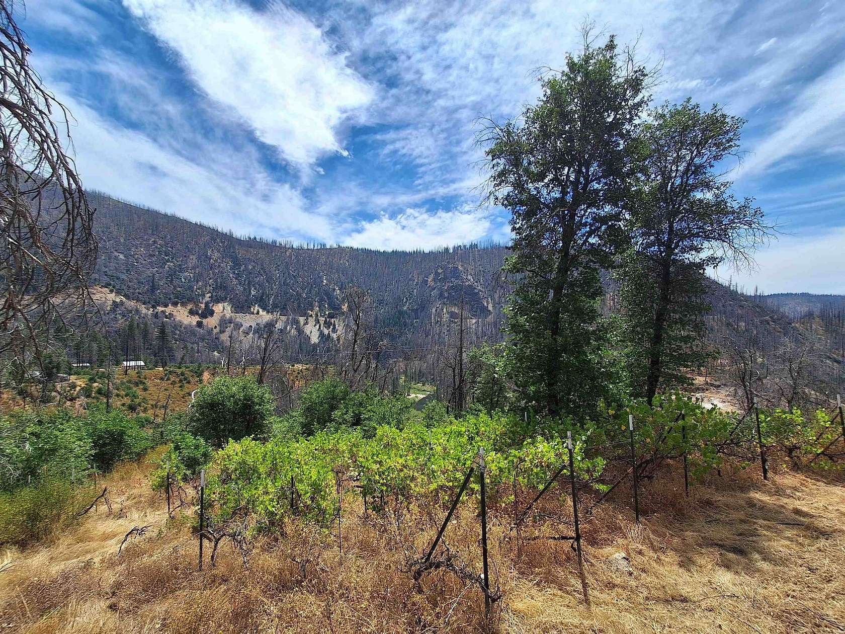 0.65 Acres of Residential Land for Sale in Crescent Mills, California