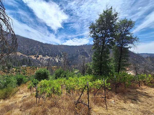 0.65 Acres of Residential Land for Sale in Crescent Mills, California