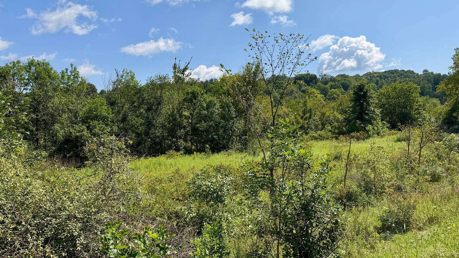 6 Acres of Residential Land for Sale in Freeport, Ohio