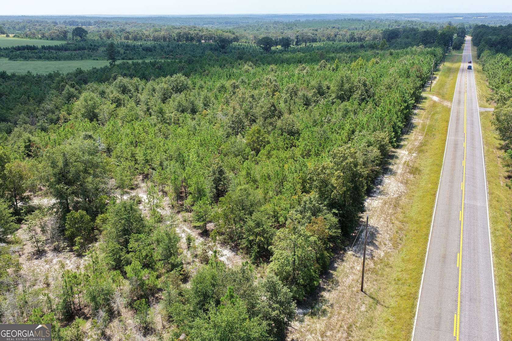 39.3 Acres of Land for Sale in Buena Vista, Georgia