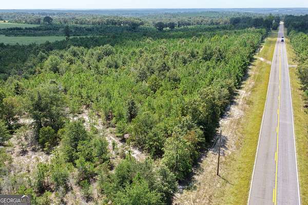 39.3 Acres of Land for Sale in Buena Vista, Georgia