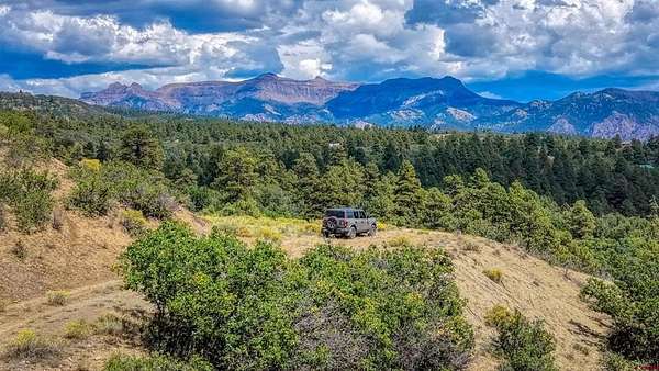 35.3 Acres of Agricultural & Residential Land for Sale in Chromo, Colorado