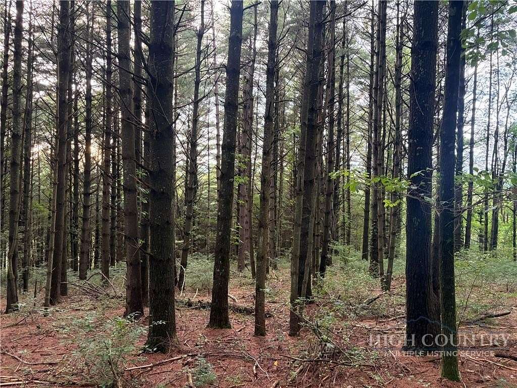 0.49 Acres of Land for Sale in Ennice, North Carolina