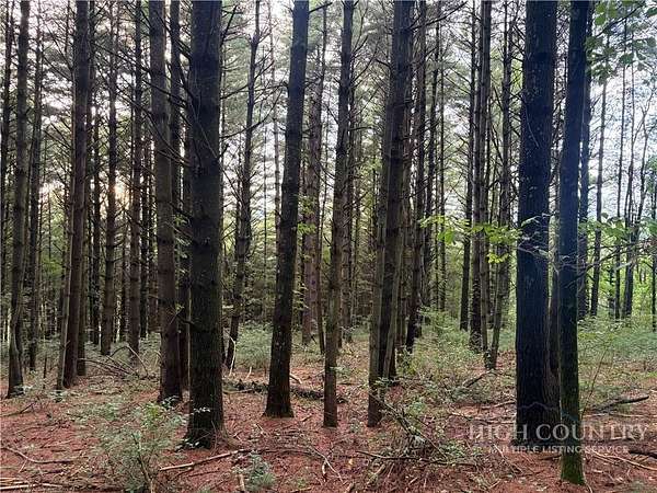 0.49 Acres of Land for Sale in Ennice, North Carolina