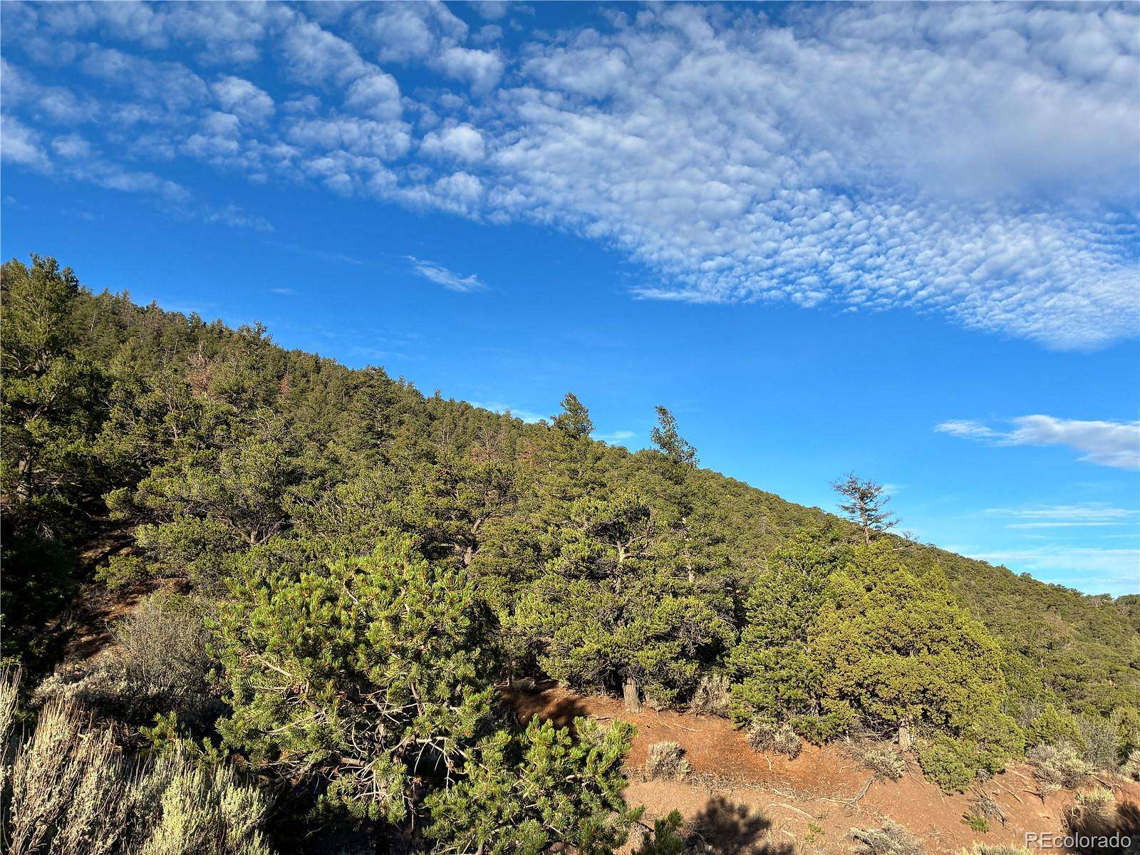 8.5 Acres of Residential Land for Sale in San Luis, Colorado