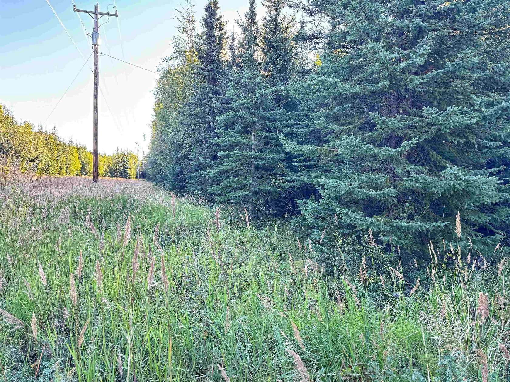 5 Acres of Land for Sale in Delta Junction, Alaska