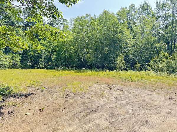 0.51 Acres of Residential Land for Sale in Bitely, Michigan