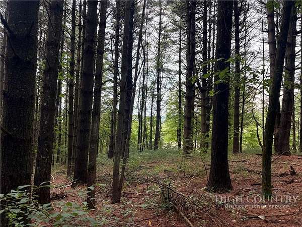 0.45 Acres of Land for Sale in Ennice, North Carolina