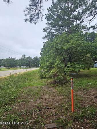2 Acres of Residential Land for Sale in Parkton, North Carolina
