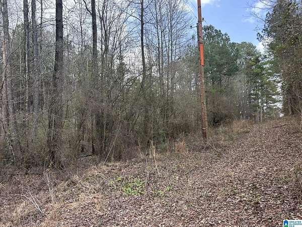 2.6 Acres of Residential Land for Sale in Mulga, Alabama