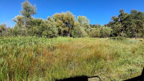 189 Acres of Recreational Land for Sale in Shingletown, California