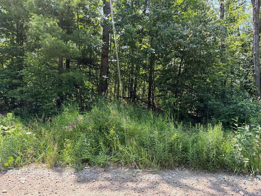 30 Acres of Land for Sale in Johannesburg, Michigan
