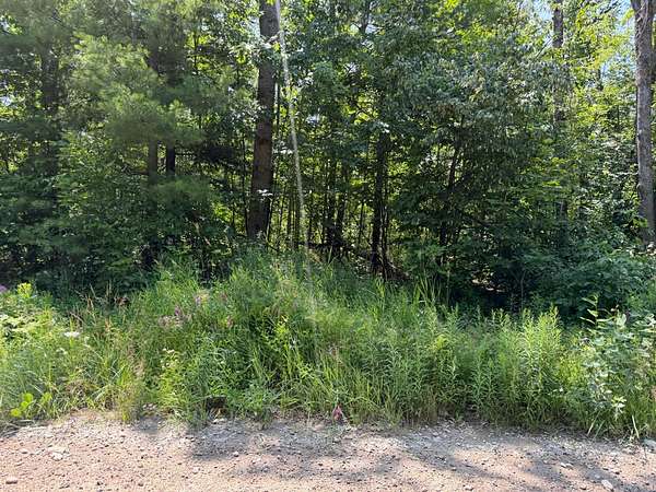 30 Acres of Land for Sale in Johannesburg, Michigan