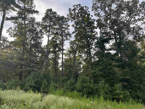 40 Acres of Recreational Land for Sale in Murfreesboro, Arkansas