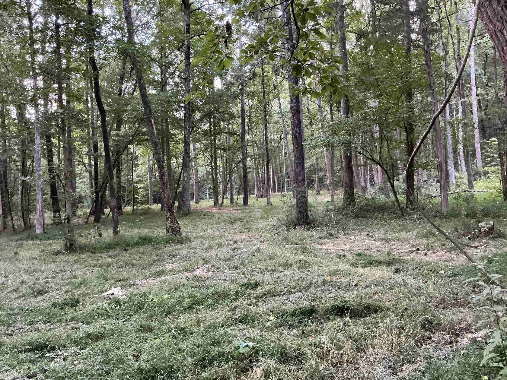 10.5 Acres of Recreational & Residential Land for Sale in Damascus, Arkansas